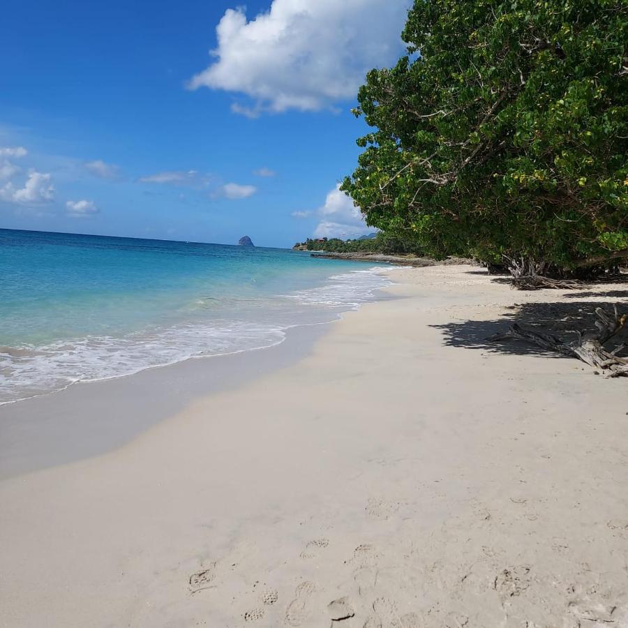 Location Vacances Fun Sous Les Gommiers แซ็งต์-ลูซ ภายนอก รูปภาพ